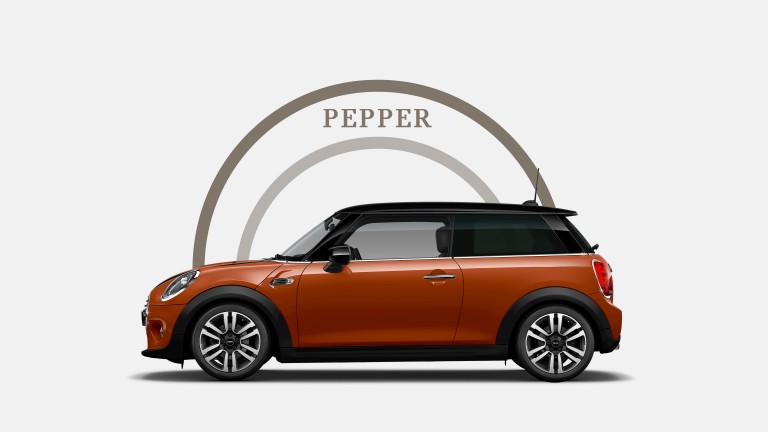 PEPPER